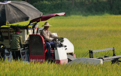 Khoa học công nghệ đóng góp trên 30% giá trị gia tăng trong nông nghiệp
