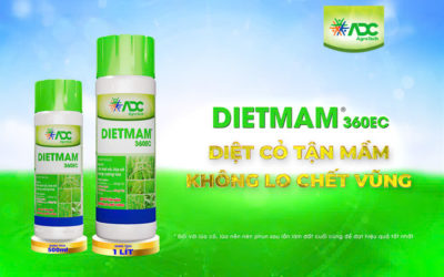 DIETMAM ADC CẢI TIẾN MỚI – DIETMAM ADC DIỆN MẠO MỚI