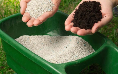 Những tác động tích cực khi áp thuế VAT với mặt hàng phân bón