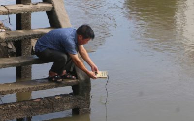 Miền Tây xâm nhập mặn sâu 50 km