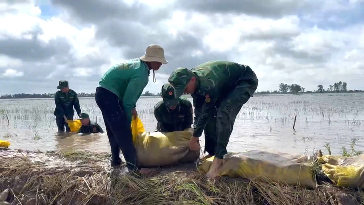 ĐỒNG THÁP: GẦN 1000 ha lúa và cây ăn trái bị thiệt hại do lũ gây ra!