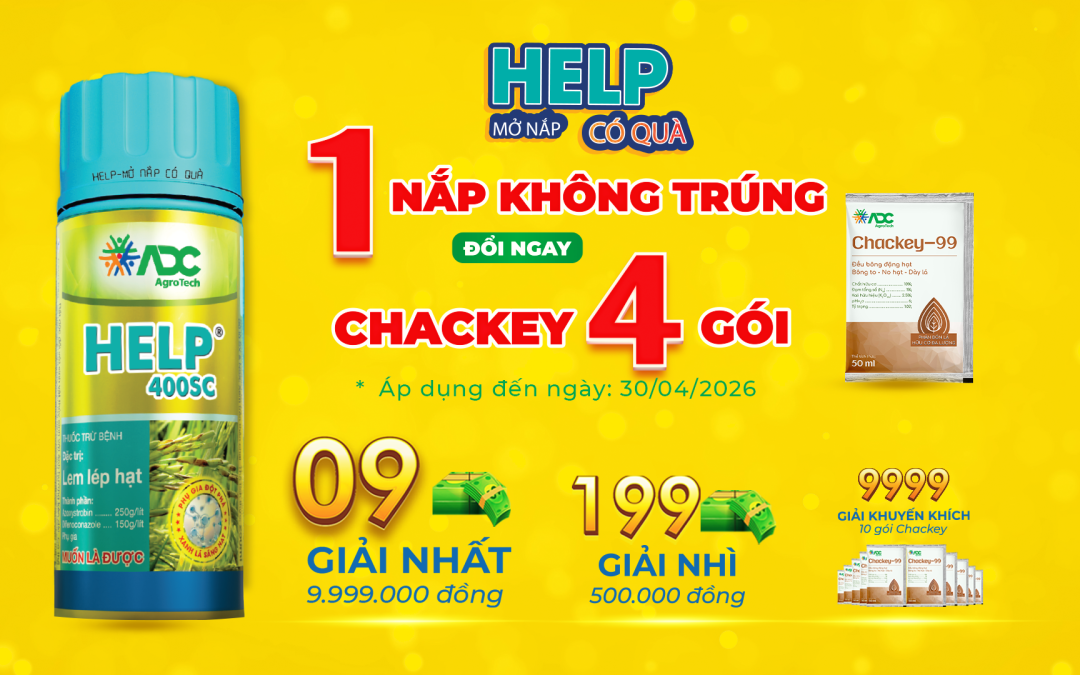 HELP 400SC – MUA 1 ĐƯỢC 4 | MỞ NẮP CÓ QUÀ