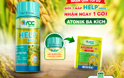 [CTKM]  NẮP 𝗛𝗘𝗟𝗣 HÈ THU – NHẬN QUÀ TỐI ƯU